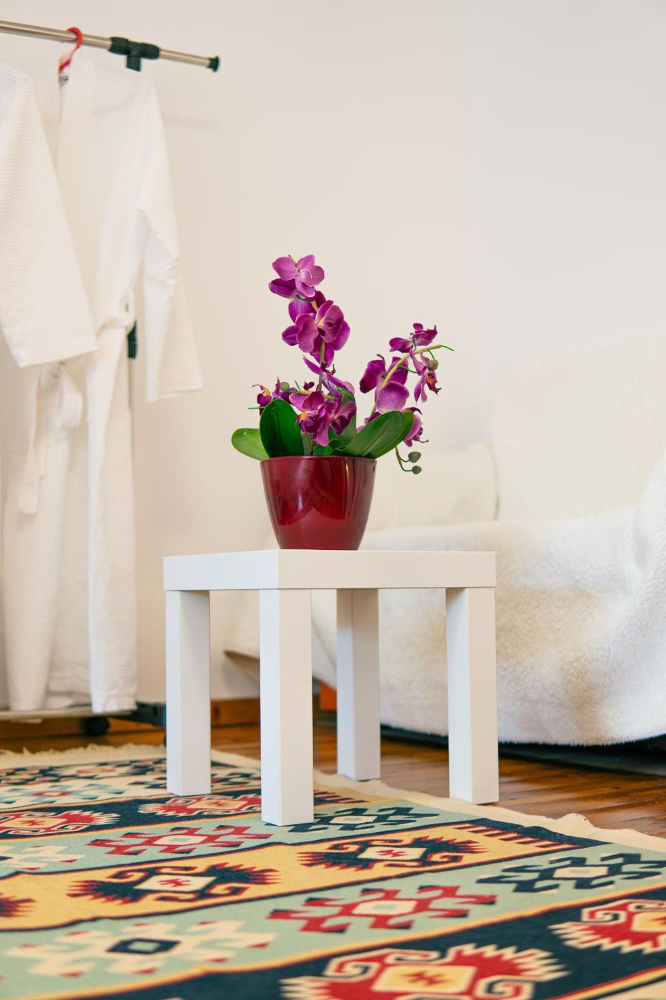 Appartement Antigona *