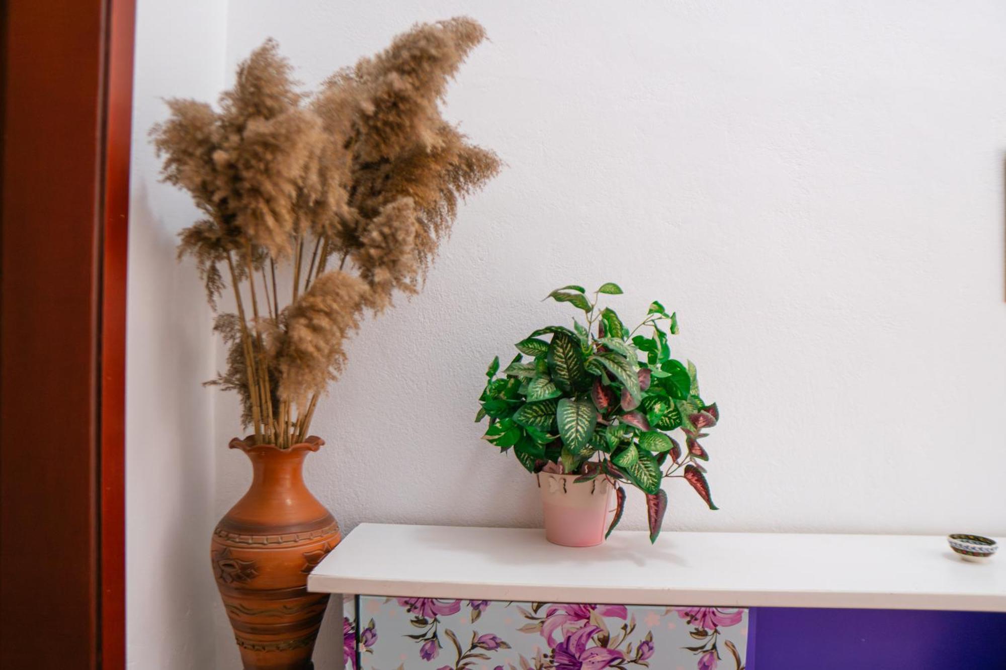 Antigona Appartement